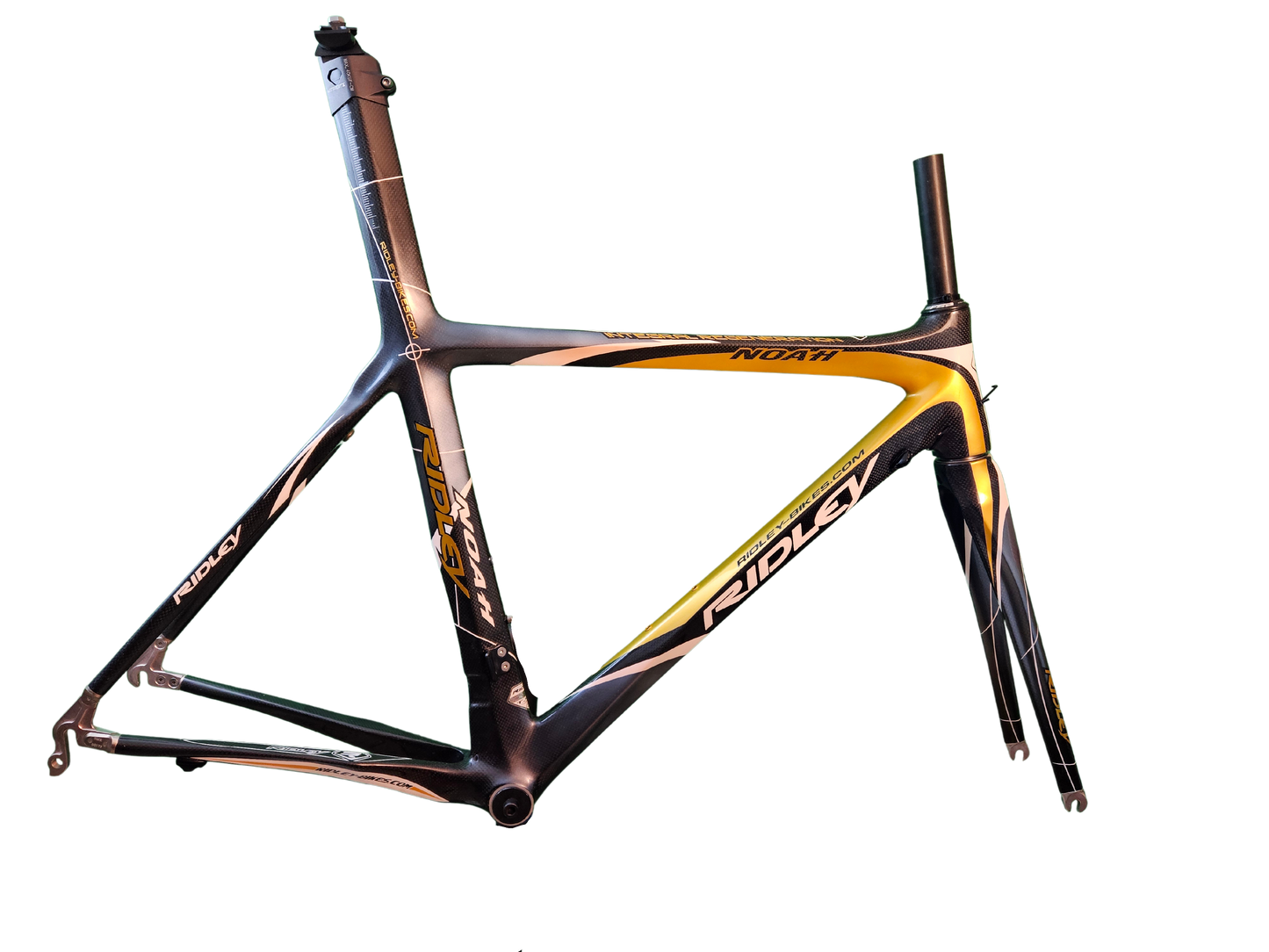 RIDLEY NOAH - misura 54