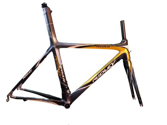 RIDLEY NOAH - misura 54